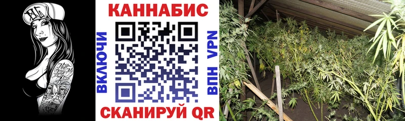 Купить закладку Кодеин  Каннабис  Cocaine  Бутират  МЕФ  Гашиш  Вышний Волочёк