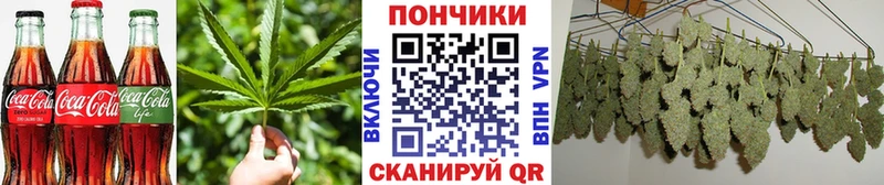 Купить  Вышний Волочёк  Печенье с ТГК конопля 