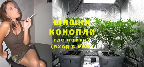PSILOCYBIN Кодинск