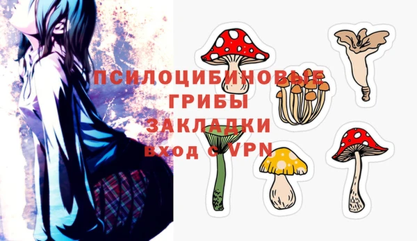 PSILOCYBIN Кодинск