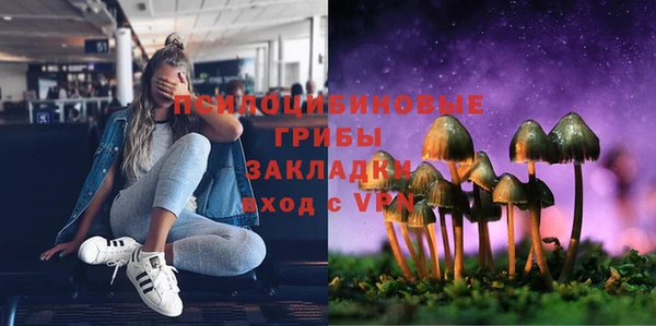 тгк Козловка